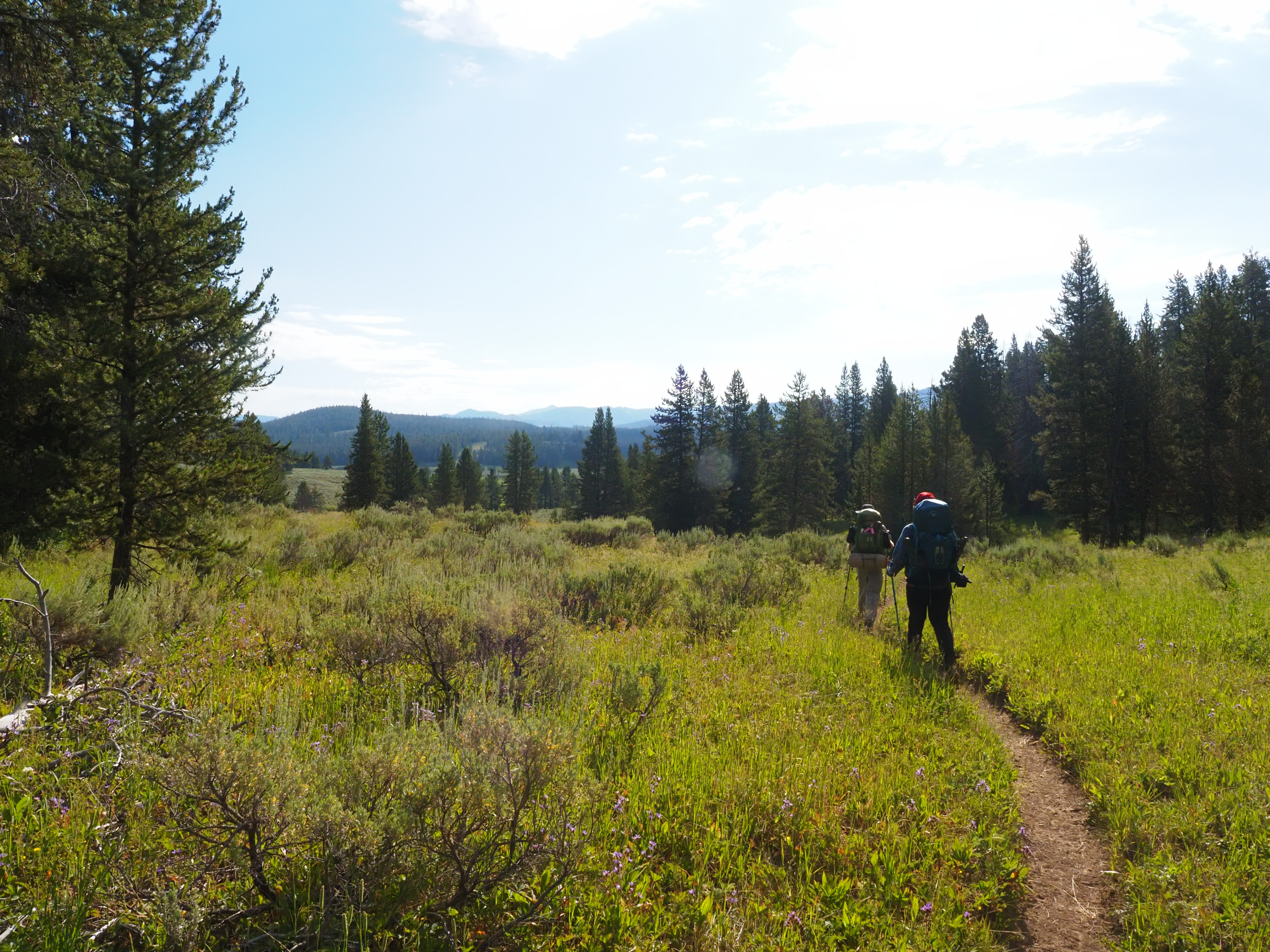 A photo of two people hiking in a field
